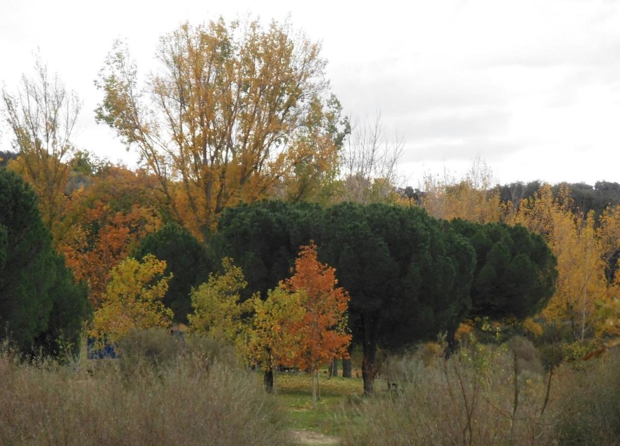 Apartamentos "Casa Rural De Aldea" Aldea del Fresno Εξωτερικό φωτογραφία